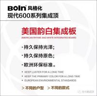 现代600系列集成顶 | 宝兰