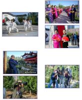 九九庆重阳，田园喜相逢