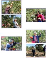 九九庆重阳，田园喜相逢