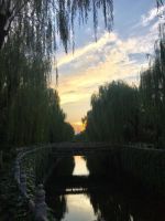 设计师李景扬：圆满清华，开启设计梦想之路