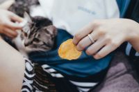 家备联想智能扫地机：猫毛先扫后拖清理更彻底 月抛不脏手