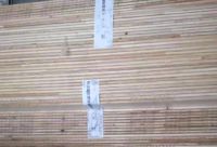 大王椰板材“雷霆行动”坚决打击仿冒产品，为维护消费者