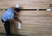 大王椰板材“雷霆行动”坚决打击仿冒产品，为维护消费者