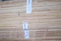 打假维权，势在必行——大王椰板材“雷霆行动”，为维护消费者权益亮剑！