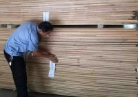 打假维权，势在必行——大王椰板材“雷霆行动”，为维护消费者权益亮剑！