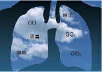 卡邦斯：你要做忙碌都市的“卖炭翁”？