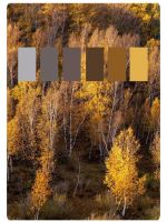 【YASLAN】亲，您的双拼窗帘请查收