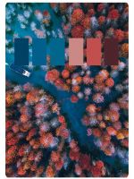 【YASLAN】亲，您的双拼窗帘请查收