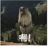 喜临门床垫为国人脊椎健康保驾护航