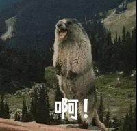 秋天掉发太厉害，但更扎心的是→