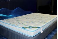 比利时VVIF维氏家族品牌发布“贝奇熊”系列儿童护脊床垫