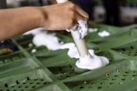 坚持源头造就品质，Para帕拉乳胶寝具成行业领跑