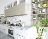 奥田集成灶怎么样？集成灶优缺点，集成灶好还是油烟机好