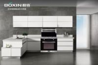 看集成灶十大品牌，用实力做好每一餐！