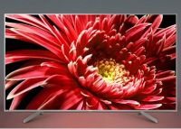 抢家电无需“剁手” 国美金秋焕新季收获你的心愿