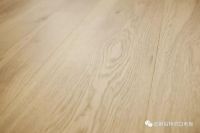 Esta纯甄系列，让你走进自然家