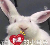 双十一投影仪能便宜多少？领券到手软，当贝投影真香警告