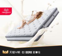 联名猫头海报、入选天猫V榜…芝华仕打响双十一揭幕战