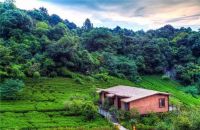 双十一薅羊毛！超值必买品你一定想不到！