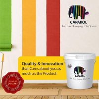 浅析进口涂料品牌德爱威在中国的本土化营销策略