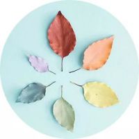 静听花开的声音, 细品简单岁月