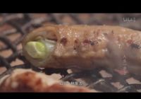 美味随心造 你的“人生一串”交给帅康电烤箱