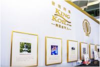 金可儿&京东携手，首发劲爆“托珀X”新品