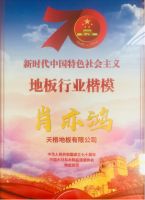 领军企业 行业楷模| 2019年世界木地板大会天格地板荣获权威大奖