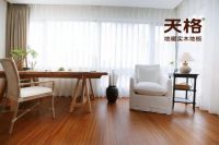 领军企业 行业楷模| 2019年世界木地板大会天格地板荣获权威大奖