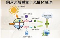 关于除甲醛的那些事儿