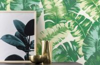 2019年新品发布 ▏Yucatan 尤卡坦