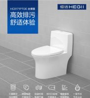 恒洁邹杰：更进一步 “双十一”电商销售额目标瞄准一亿元