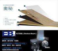 进博会冲刺倒计时，圣象百项国际展品首发在即