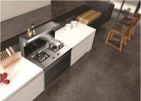 中国集成灶十大品牌，美大、火星人、火王排名领先