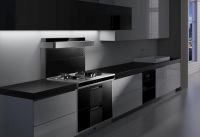 中国集成灶十大品牌，美大、火星人、火王排名领先