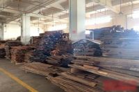 再次走进南枝红，体验不一样的生产空间