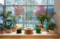 弗兰克盖里 打造首座路易威登首尔旗舰店