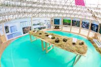 “2019章堰丰收—未来乡村生活节”璀璨启幕