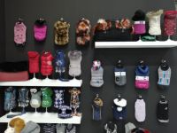 萌宠逆袭时尚圈，CROCI品牌引领宠物行业新风向