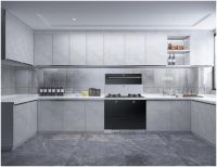 创新引领行业风向 帅康荣获“2019中国集成灶创新企业奖”