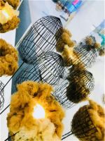 爱上高定丨李红金腾奖南宁开讲 一场美学启智的视听盛宴即将展开