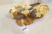 爱上高定丨李红金腾奖南宁开讲 一场美学启智的视听盛宴即将展开