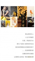家｜名雕佰恩邦全屋装，让理想生活的每一瞬间熠熠生辉