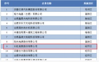 合肥百强高新企业名单公布 长虹美菱再次榜上有名