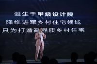 双十一竟然可以在天猫上给父母买乡村别墅了？