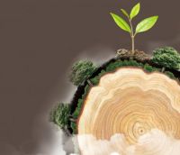 坚持可持续发展，梵·戴克地板荣获“森林认证证书”