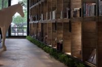 张清平|生活，可以离东方美学近一点……