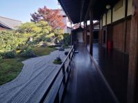 设计师陈翼频：初见日本园林之思索与领悟！