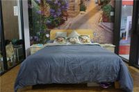 得高新品惊艳亮相2019住博会  尽展健康家居行业新风范