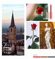 【YASLAN】当家居遇上玫瑰，虏获万千少女心！